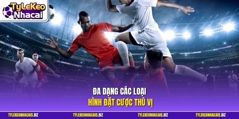 Đa dạng các loại hình đặt cược thú vị