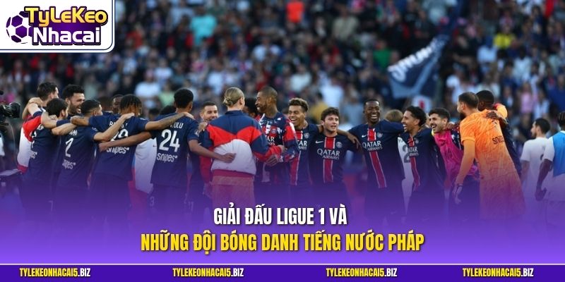 Giải đấu Ligue 1 và những đội bóng danh tiếng nước Pháp